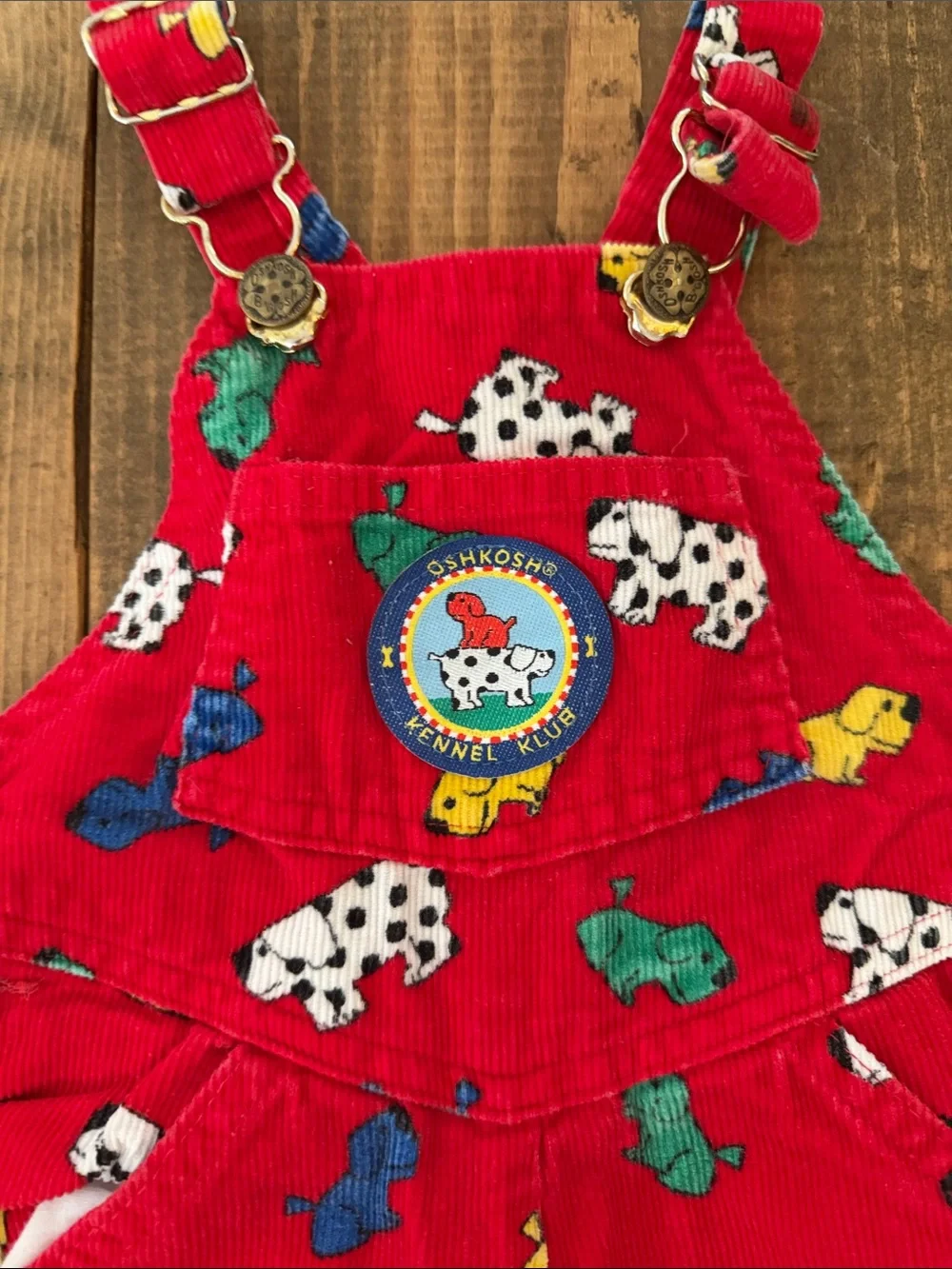 Vintage Red Corduroy Kids Overalls with Colorful Puppy Print